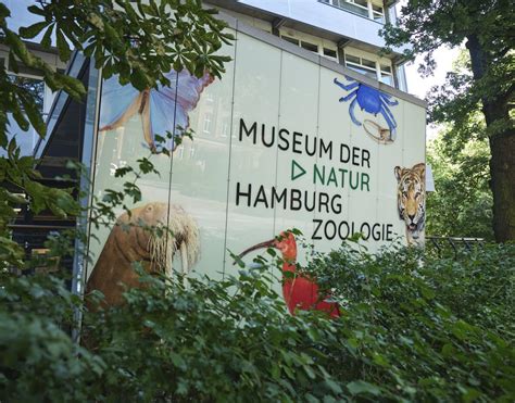 Museum der Natur Hamburg - Zoologie